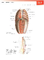 Sobotta  Atlas of Human Anatomy  Trunk, Viscera,Lower Limb Volume2 2006, page 76